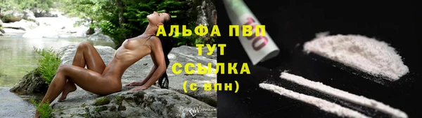 дмт Пролетарск