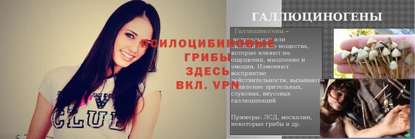 дмт Пролетарск
