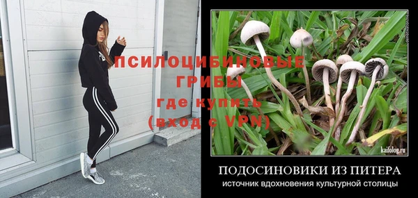 наркотики Приозерск